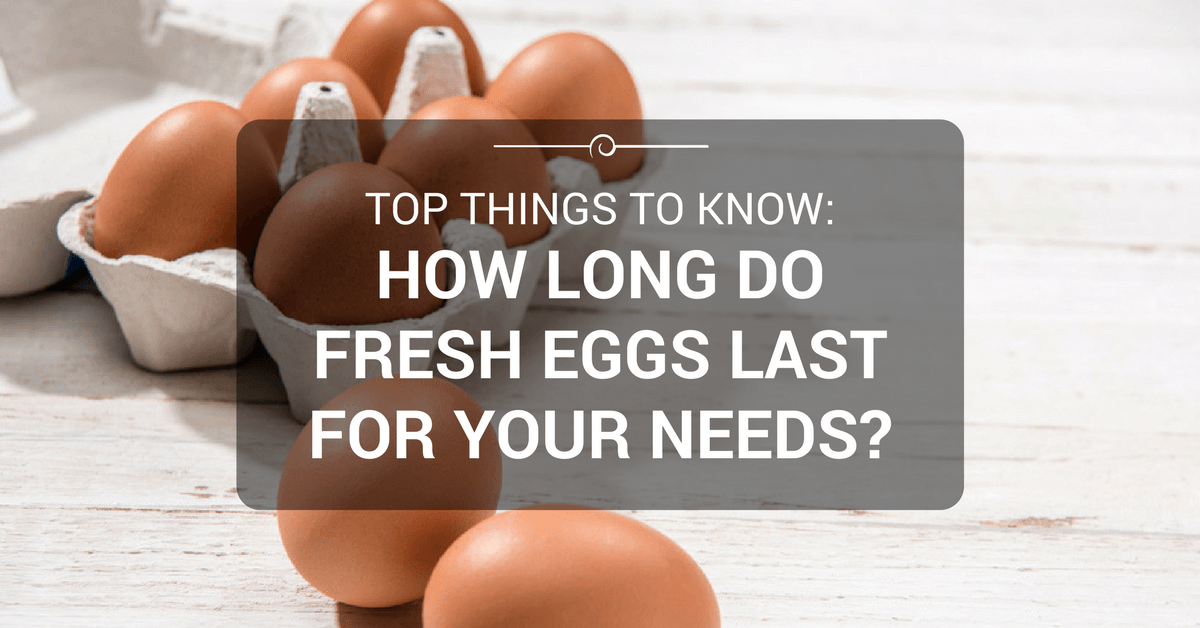 how-long-do-fresh-eggs-last