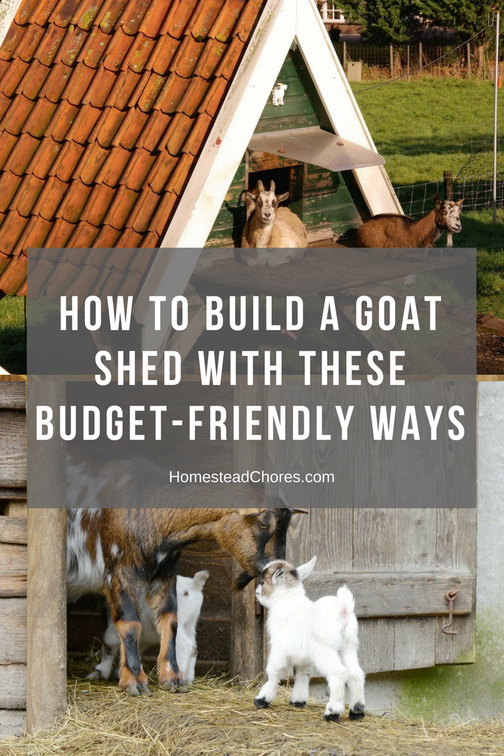 how to build a goat shed