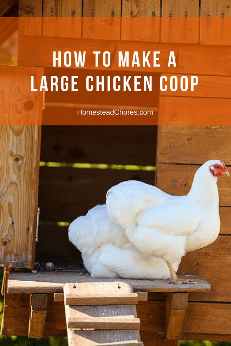 make chicken coop